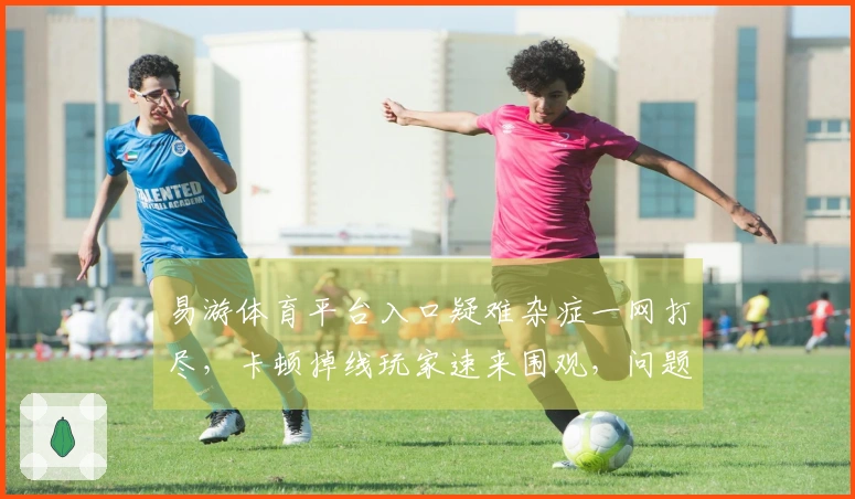 易游体育平台入口疑难杂症一网打尽，卡顿掉线玩家速来围观，问题终结者在此！